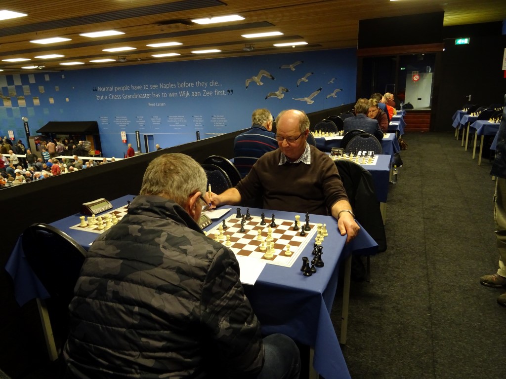 DSC02341 (Medium).JPG