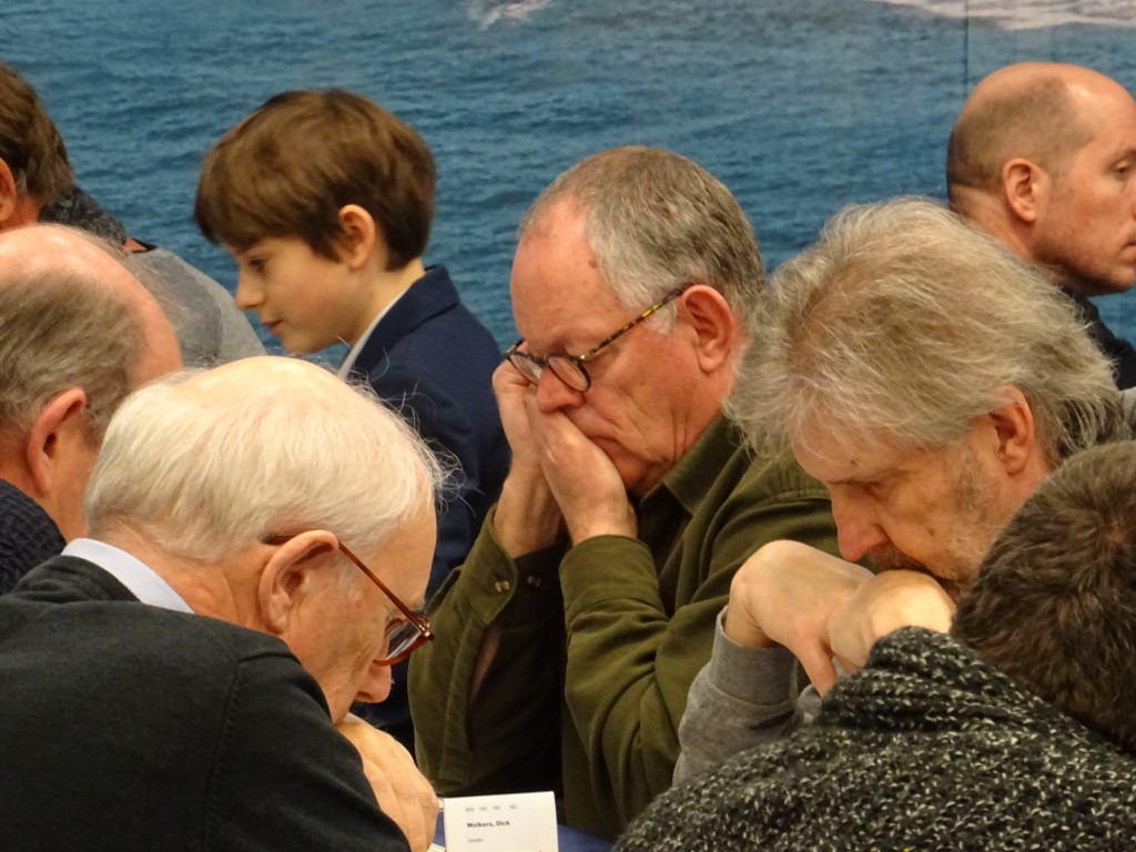 DSC02348 (Medium).JPG